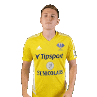 Football Soccer Sticker by Fortuna Liga