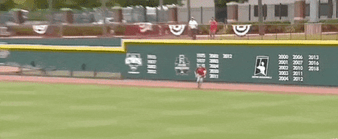World Series Baseball GIF by NCAA Championships