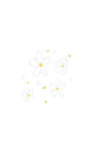 cowgirlcalligprahy boho daisy trendy daisies Sticker