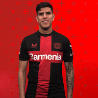 I Love You Smile GIF by Bayer 04 Leverkusen
