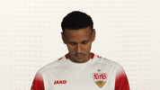 Look Up Vfb Stuttgart GIF by Bundesliga