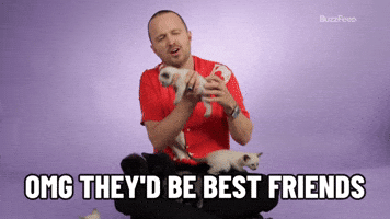 Best Friends