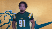 GIF by MOSO Sports