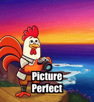 Picture Perfect Photography GIF by Zorooster