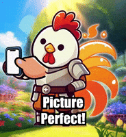 Picture Perfect Photography GIF by Zorooster