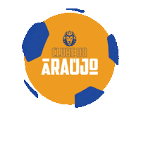 Sorriso Maroto Futebol Sticker by Felipe Araujo