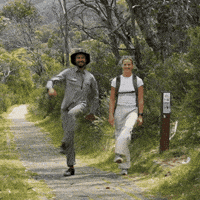 GIF by Thredbo