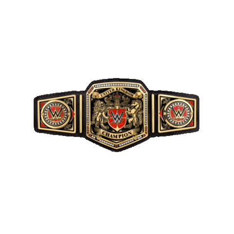 championship belt sport Sticker by WWE