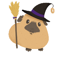 Guinea Pig Halloween Sticker by petall