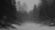 Black And White Snow GIF