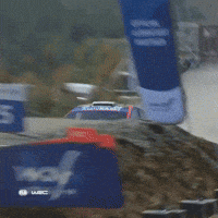 Jumping Car Flight GIF by FIA World Rally Championship