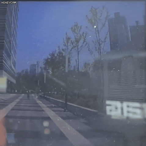 skagk giphyupload GIF