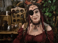 piratesparley pirate pirates parrot polly GIF
