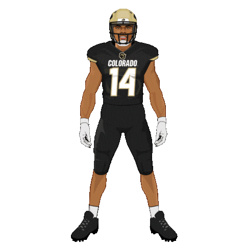 Be Quiet Colorado Buffaloes Sticker by Panini America