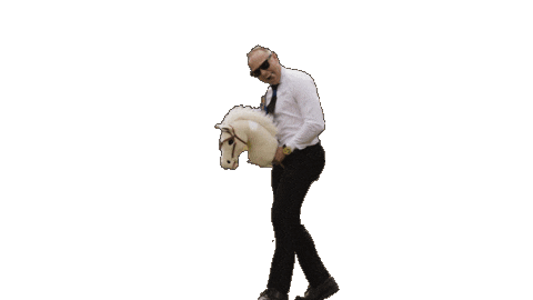 Hobbyhorse Sticker by Drakes Supermarkets