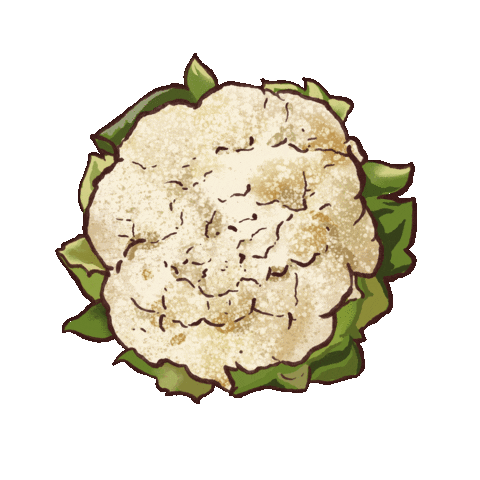 Cauliflower Sticker