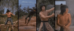 martial arts film GIF by Shaw Brothers