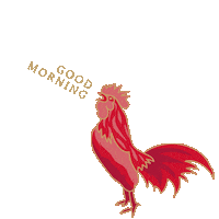 New Year Good Luck Sticker by AMOREPACFIC