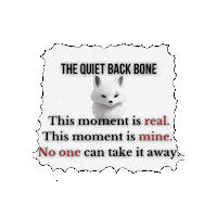 Sticker Feeling Sticker