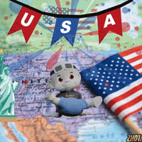 United States Usa GIF by Zhot