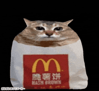 Mei Mei Cat GIF
