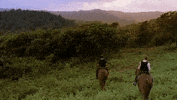 Steve Mcgarrett Tani Rey GIF by CBS