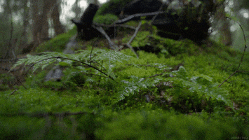 water raining GIF by Living Stills
