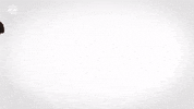 Red Bull Fun GIF by FC Red Bull Salzburg