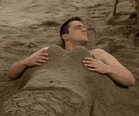 Season 3 Episode 25 GIF by Friends