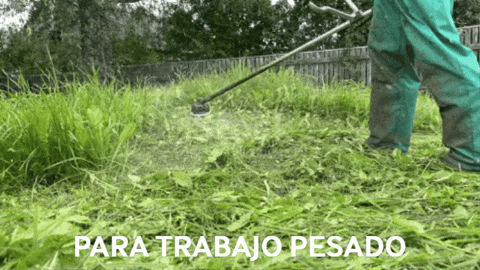 fiannello1 giphygifmaker GIF