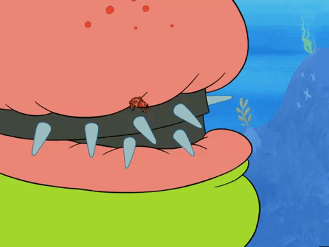 season 5 episode 10 GIF by SpongeBob SquarePants