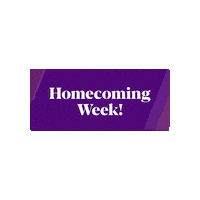 Panthers Homecoming Sticker by UNI Athletics