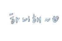 세븐틴 Carat Sticker