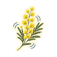 Mimosa Sticker by bormesmaville