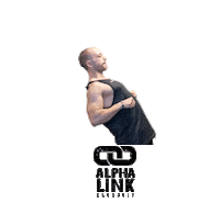 Fitness Workout Sticker by Alpha Link Crossfit