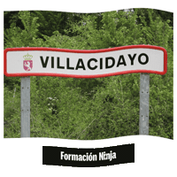 Castilla Y Leon Flag Sticker by Formación Ninja