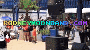 ModernHistorics rock band wild wing rodney moon GIF