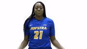 Basketball GIF by Hofstra Pride