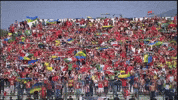 Bejaia GIF