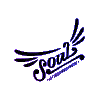 IfABird soul braunschweig ifabird soulie Sticker