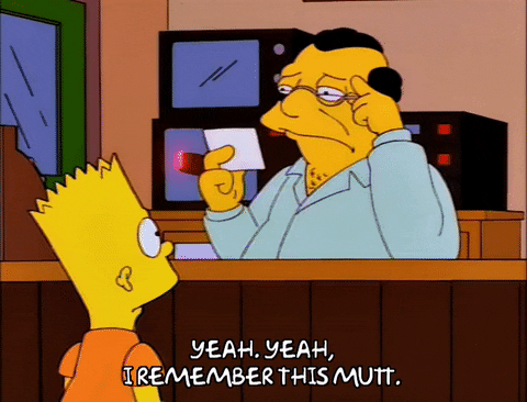 bart simpson episode 20 GIF