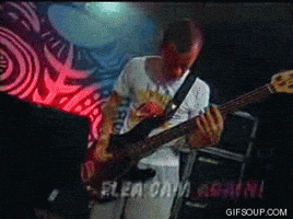 flea GIF
