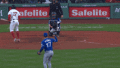 Blue Jays Baseball GIF by Toronto Blue Jays
