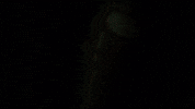 Ilker Ayrık Noodle GIF by Indomie Türkiye