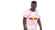 Red Bull Dancing Sticker by FC Red Bull Salzburg