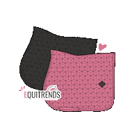 Kentucky Velvet Sticker by Equitrends