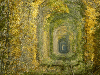 relaxing virtual reality GIF by Feliks Tomasz Konczakowski