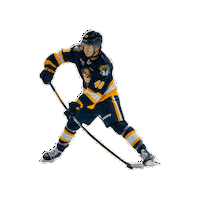 Hockey Ohl Sticker by OttersHockey