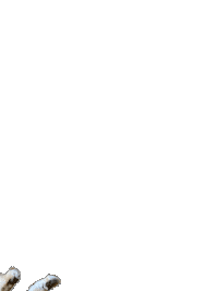 Flying Rise Up Sticker