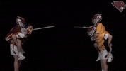 Lax GIF by CUCougars